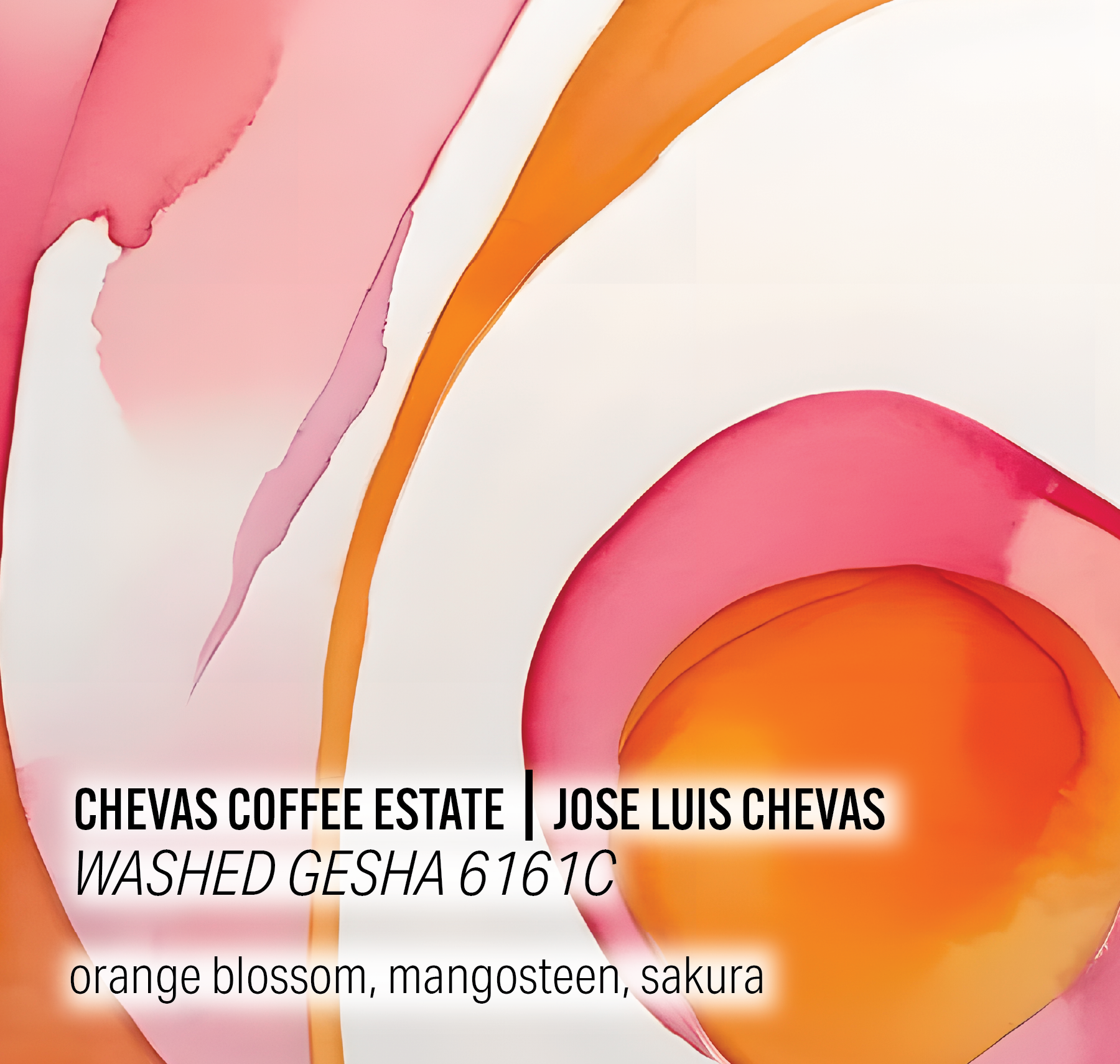 Chevas Coffee Estate - Washed Gesha 6161C - Panama by Moonwake - Coffee ...